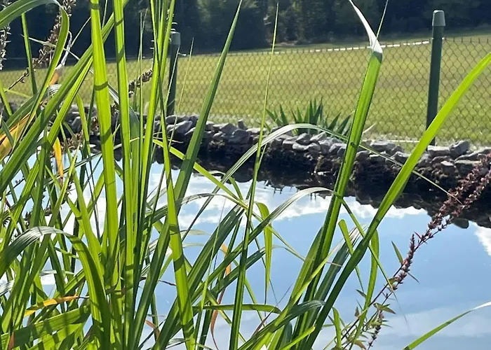 Tinyhouse Brezina * Dolni Bezdekov